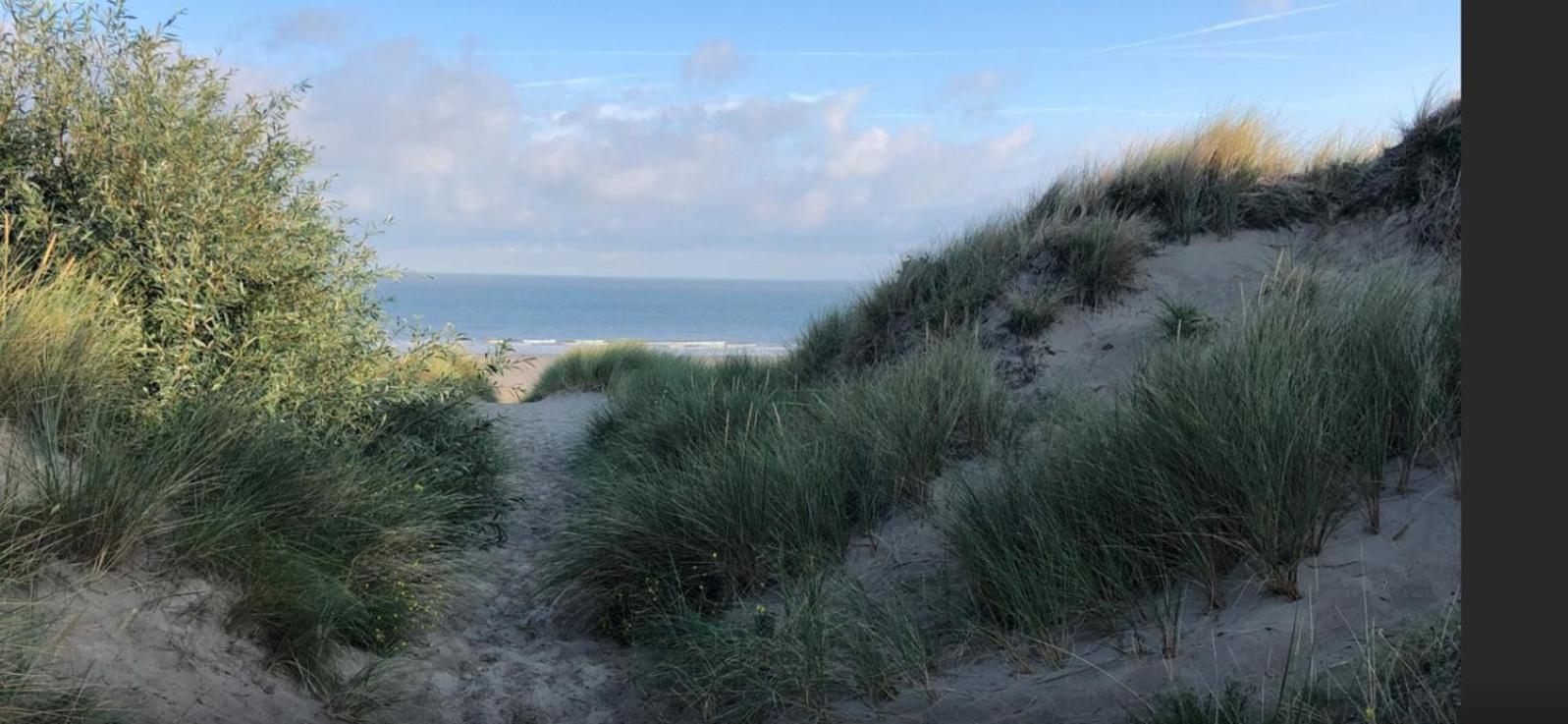 Vacances Relax A Bredene Dış mekan fotoğraf